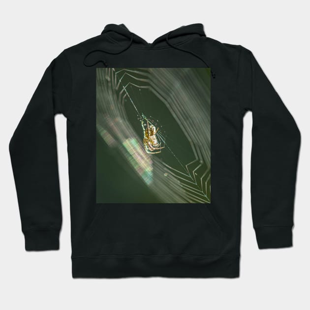 Garden Spider on its Web in the Morning Hoodie by TonyNorth